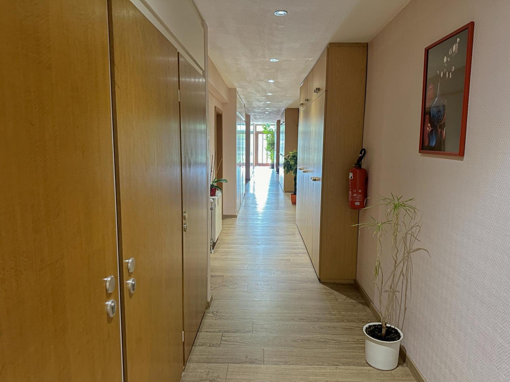 Hotel Denriko هايدلبرغ المظهر الخارجي الصورة